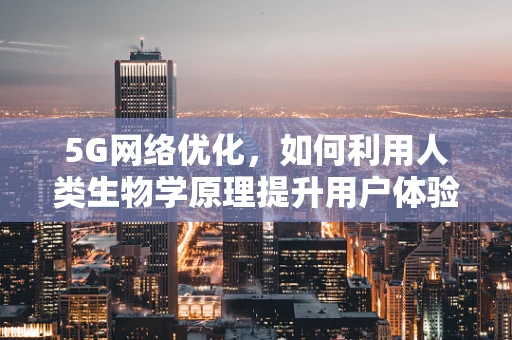 5G网络优化，如何利用人类生物学原理提升用户体验？