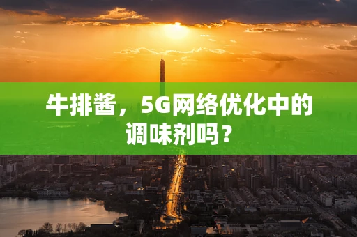 牛排酱，5G网络优化中的调味剂吗？